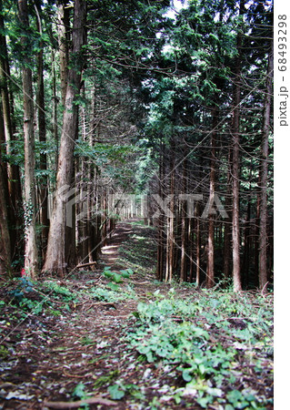 山道 山道 68493298