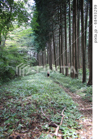 山道 山道 68493299