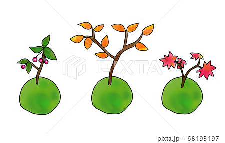 秋の3種類の苔玉 68493497