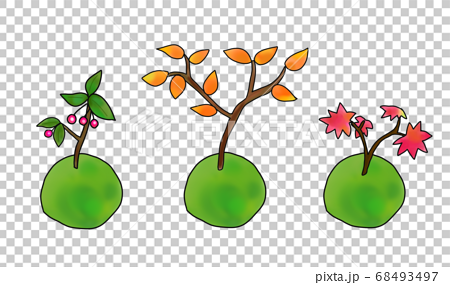 秋の3種類の苔玉のイラスト素材
