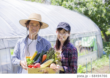 野菜を収穫するカップルの写真素材