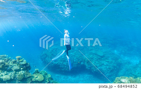 サンゴ礁シュノーケリング 68494852