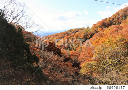 日塩もみじラインの紅葉 日塩もみじラインの紅葉 68496157