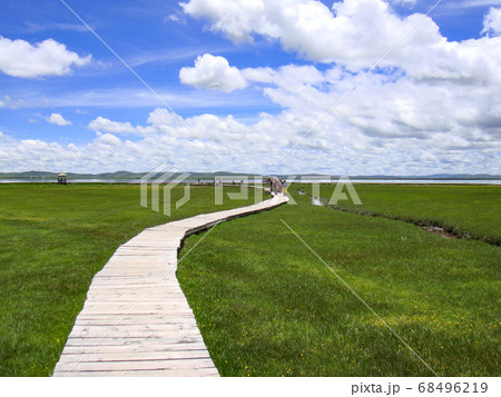 ゾルゲ花湖 68496219