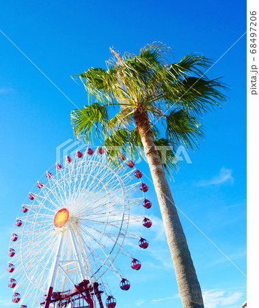 ヤシの木と観覧車 68497206