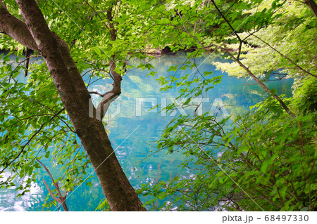 夏の五色沼（福島県・裏磐梯） 68497330