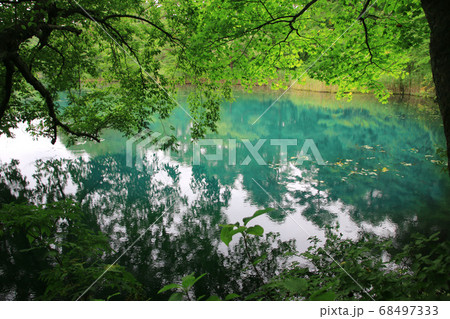 夏の五色沼（福島県・裏磐梯） 68497333