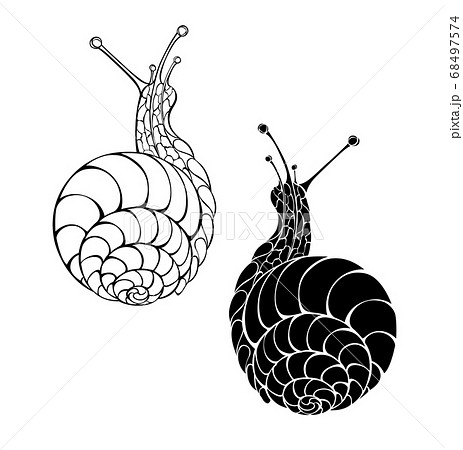 Two monochrome snails 68497574