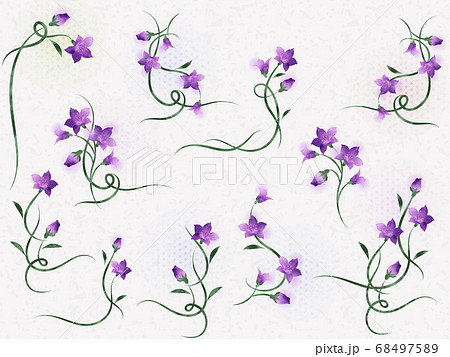 アナログ水彩夏のキキョウの花のベクターイラスト素材のセットのイラスト素材