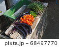家庭菜園、夏野菜の収穫 68497770