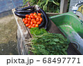 家庭菜園、夏野菜の収穫 68497771