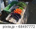 家庭菜園、夏野菜の収穫 68497772
