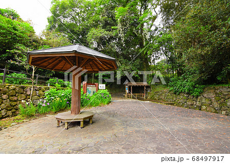 天子の水公園 68497917