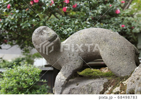 柴又の帝釈天 参道の猿 柴又の帝釈天 参道の猿 68498783