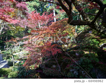 紅葉に染まる金剛輪寺 紅葉に染まる金剛輪寺 68498962