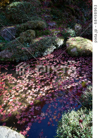 池に浮かぶ紅葉_金剛輪寺 池に浮かぶ紅葉_金剛輪寺 68498963
