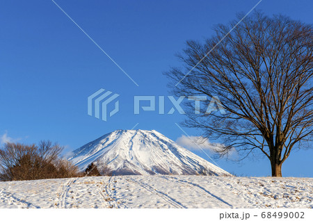 富士が嶺高原よりの富士の雄姿 68499002