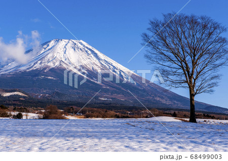 富士が嶺高原よりの富士の雄姿 68499003