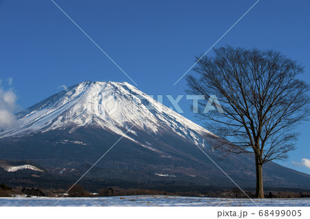 富士が嶺高原よりの富士の雄姿 富士が嶺高原よりの富士の雄姿 68499005