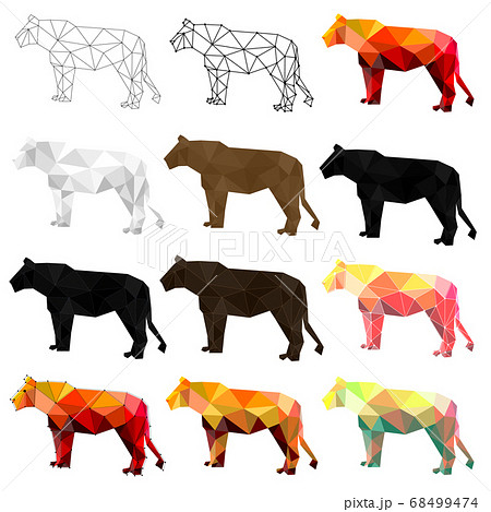 Set of lion polygon geometric. Vector illustration. Set of lion polygon geometric. Vector illustration. 68499474
