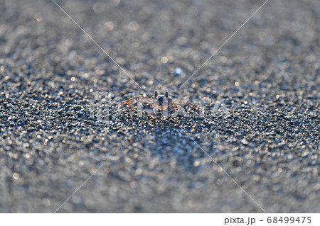 夏休み 宿題 夏休み 宿題 68499475