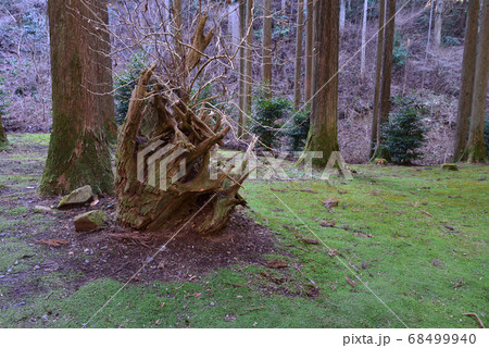 御岩神社へ行きました #11 御岩神社へ行きました #11 68499940