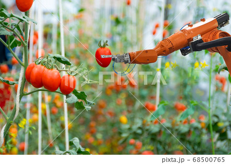Smart robotic farmers in agriculture futuristic Smart robotic farmers in agriculture futuristic 68500765