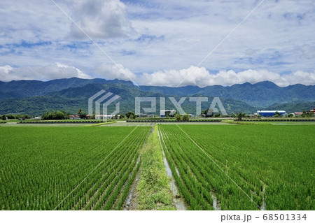 景色 風景 たんぼ 68501334