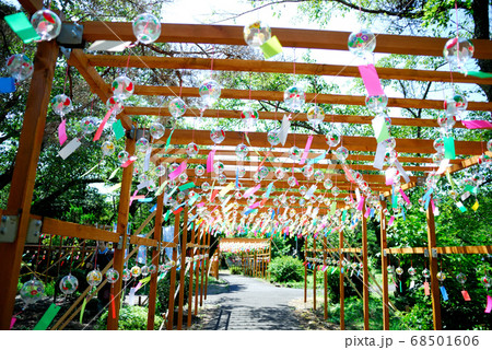 風鈴祭り 68501606