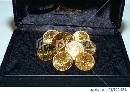 メープルコイン　貴金属　財産 68502421