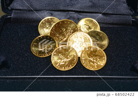 メープルコイン　貴金属　財産 68502422