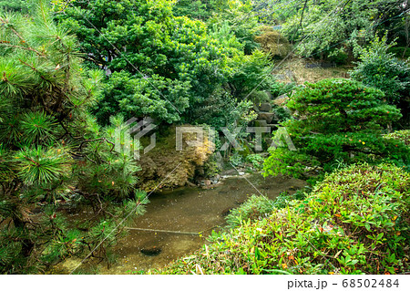 西郷山公園 68502484