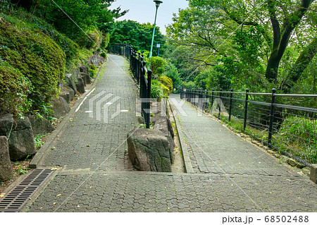 西郷山公園 西郷山公園 68502488