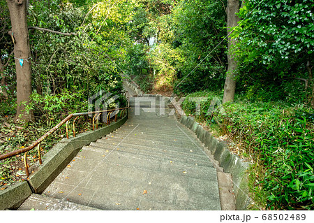 西郷山公園 西郷山公園 68502489