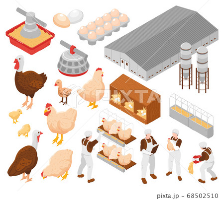 Poultry Farm Isometric Set Poultry Farm Isometric Set 68502510