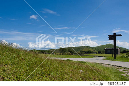 草 芝生 芝 68503187