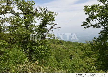 那須 那須 68503953