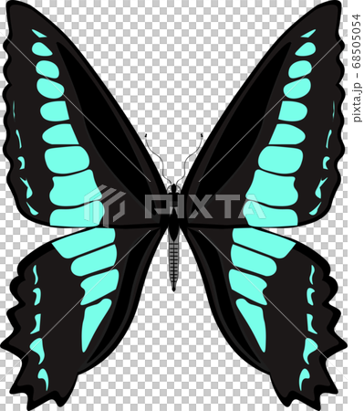 Aosiagehaha 68505054