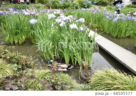 加茂荘花鳥園 加茂荘花鳥園 68505577