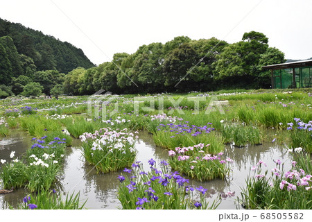 加茂荘花鳥園 68505582