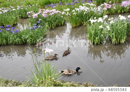加茂荘花鳥園 68505583