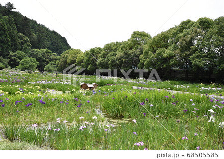 加茂荘花鳥園 68505585