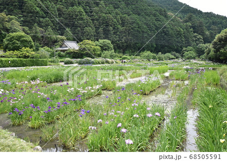 加茂荘花鳥園 68505591