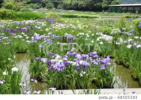 加茂荘花鳥園 68505593