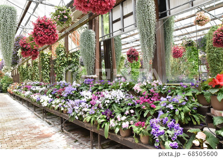 加茂荘花鳥園 68505600