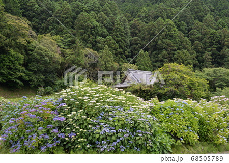加茂荘花鳥園 68505789