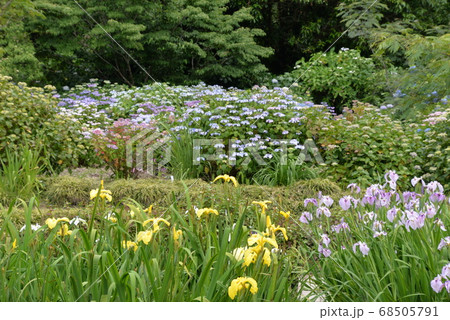 加茂荘花鳥園 68505791