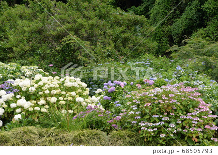 加茂荘花鳥園 加茂荘花鳥園 68505793