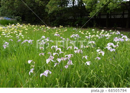 加茂荘花鳥園 加茂荘花鳥園 68505794