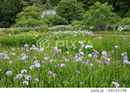 加茂荘花鳥園 加茂荘花鳥園 68505796